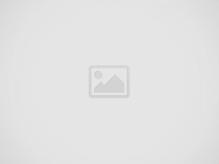 Minimercado - Material: Tudo o que você precisa saber sobre gestão de pequenos e médios supermercados
